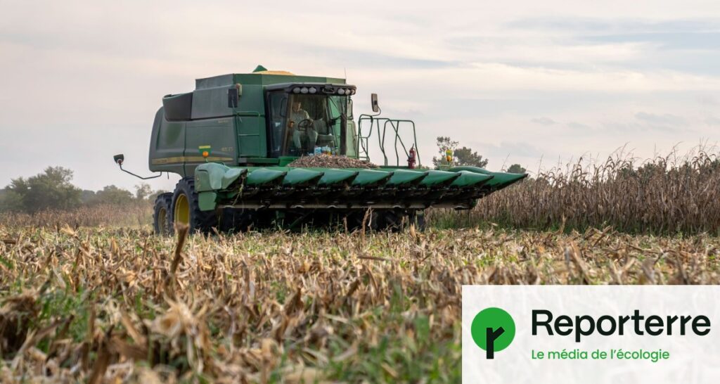 L’usage des pesticides augmente de 6 % en France, avec une hausse des PFAS.