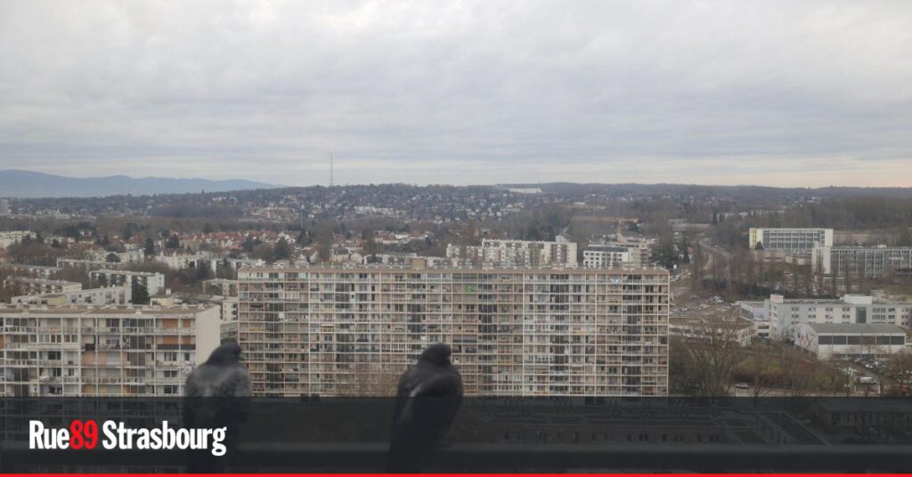 Les habitants des tours Plein Ciel à Mulhouse demandent une augmentation des indemnités.