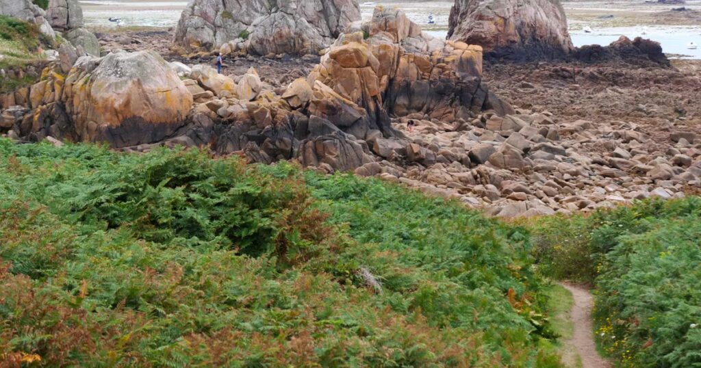 Arpenter le sentier des douaniers en Bretagne, un parcours naturel de préservation environnementale.