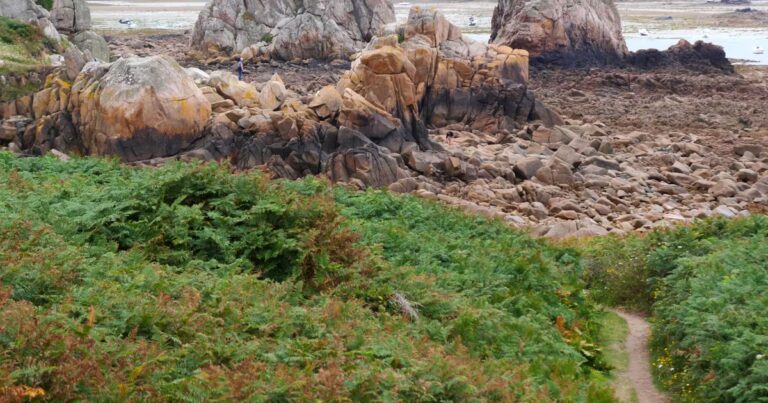 Arpenter le sentier des douaniers en Bretagne, un parcours naturel de préservation environnementale.