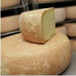 Tomme de brebis Fichous