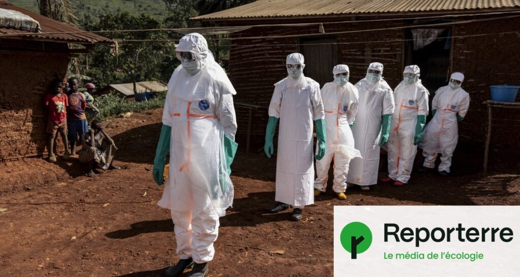 Ebola en RDC : l’exploitation de l’or liée à la propagation de l’épidémie