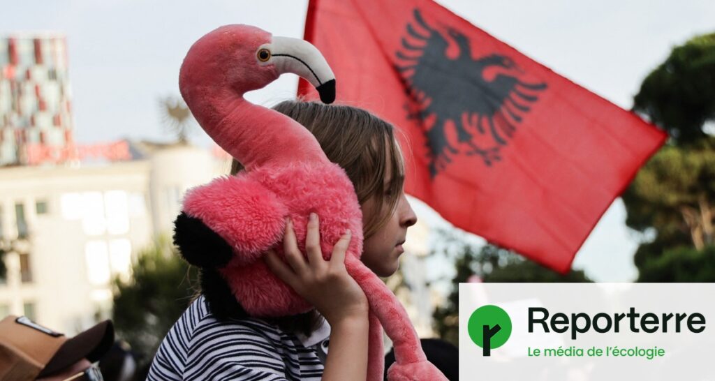 Un projet immobilier de la famille Trump suscite des tensions en Albanie sur la préservation des flamants roses.