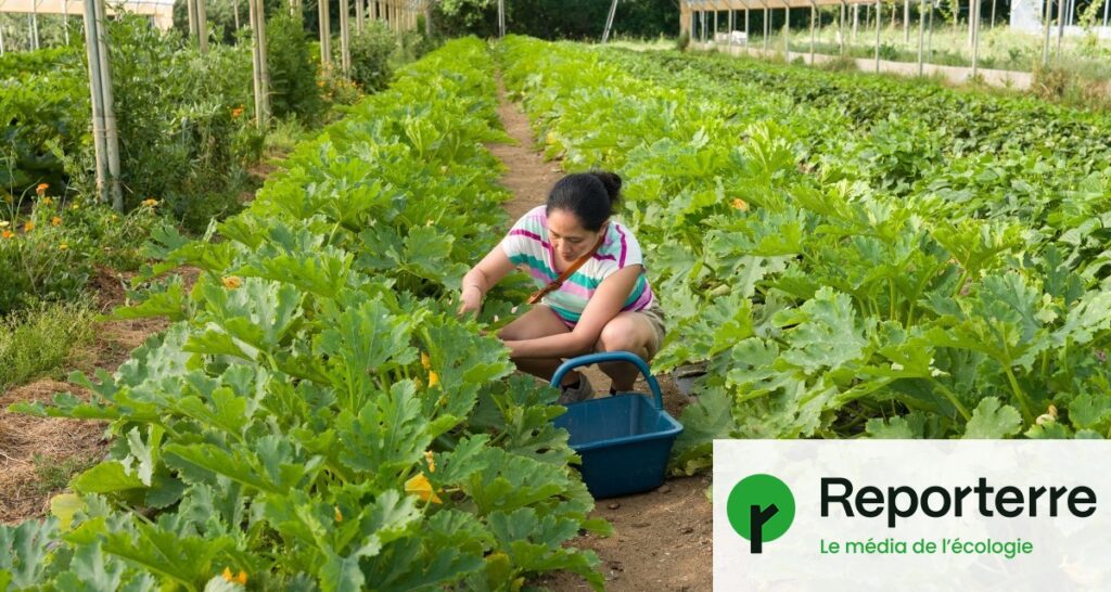 L’Assemblée approuve la revalorisation des petites retraites agricoles en France.