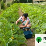 L’Assemblée approuve la revalorisation des petites retraites agricoles en France.
