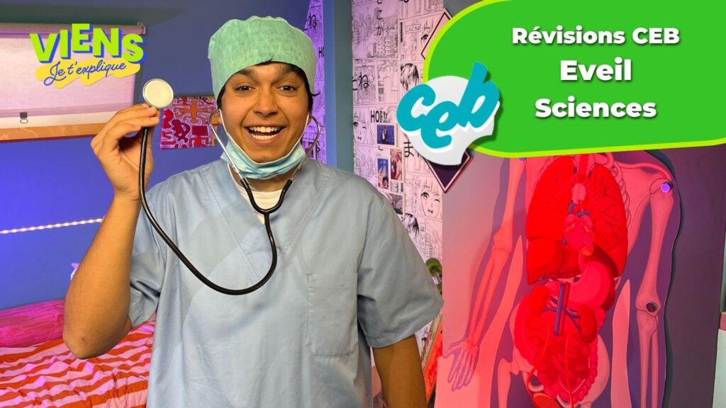 Les ressources du CEB de Sciences accessibles via vidéos, podcasts et quiz.