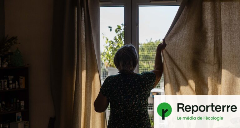 Canicule : plus de 1 000 décès supplémentaires enregistrés en France