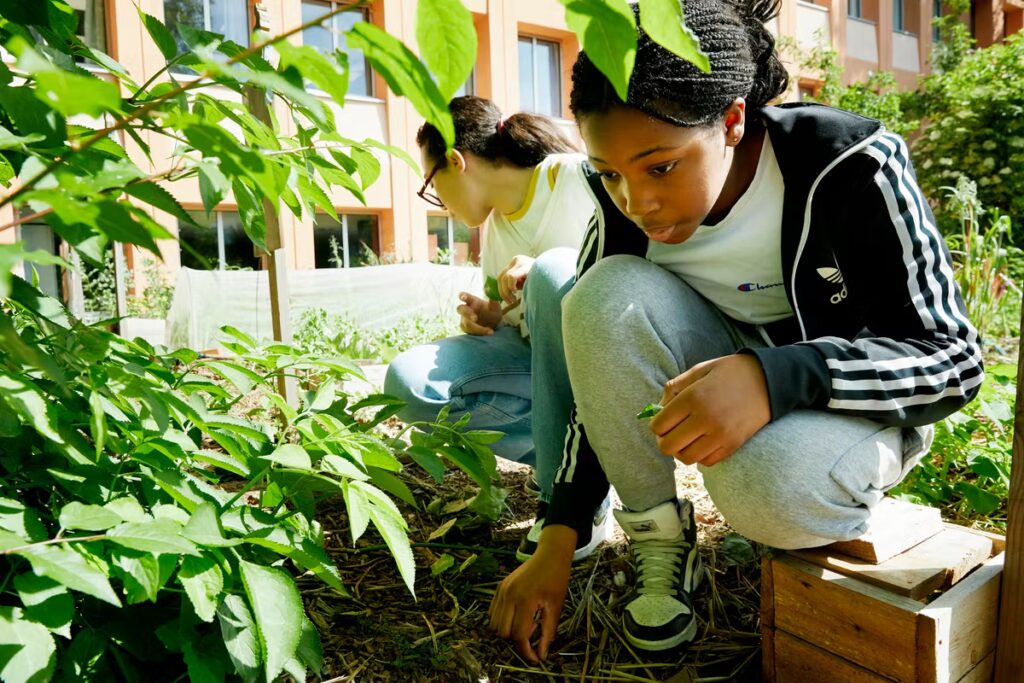 Les collégiens cultivent la terre pour mieux gérer leurs émotions en classe.
