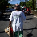 Chlordécone aux Antilles : la cour confirme le non-lieu en appel sur le scandale sanitaire.