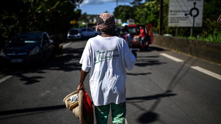 Chlordécone aux Antilles : la cour confirme le non-lieu en appel sur le scandale sanitaire.