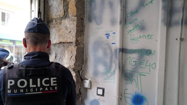 Deux sympathisants d’ultradroite interpellés à Nice pour violences après la victoire d’Éric Ciotti