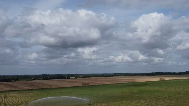 Les agriculteurs français consomment-ils une quantité significative d’eau ?