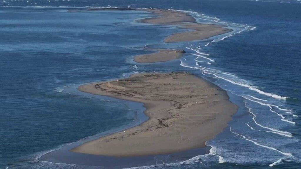 Menace de disparition pour le banc d’Arguin et sa réserve naturelle près d’Arcachon