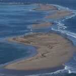 Menace de disparition pour le banc d’Arguin et sa réserve naturelle près d’Arcachon