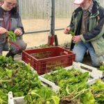 Le Service Civique transforme le parcours professionnel de Léa, jeune diplômée en France.