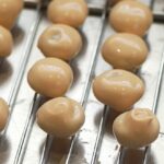 Faïence et nougatine : les traditions artisanales de Nevers en péril face à la modernité