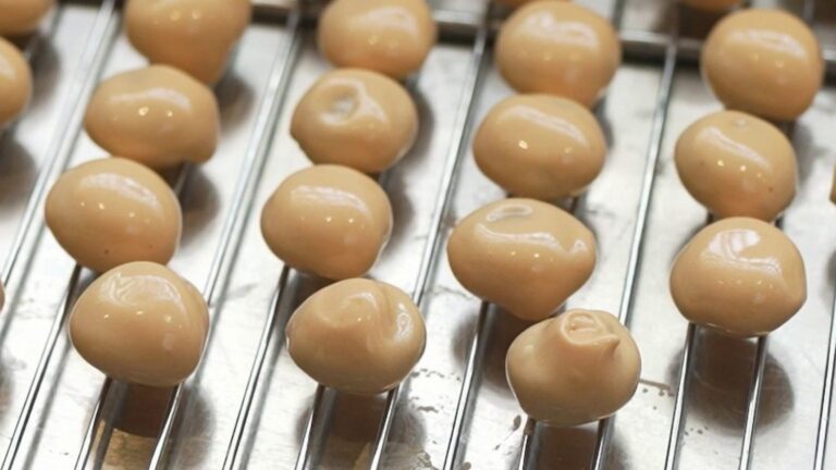 Faïence et nougatine : les traditions artisanales de Nevers en péril face à la modernité