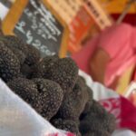 Marché de la truffe d’été dans le Haut-Var : goût de noisette et de champignon identifié.