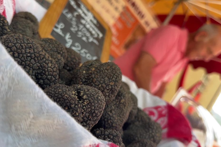 Marché de la truffe d’été dans le Haut-Var : goût de noisette et de champignon identifié.