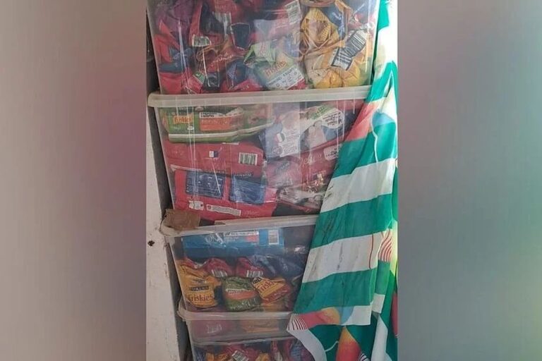 Une femme SDF condamnée pour avoir entreposé 340 chats morts dans des sacs à croquettes