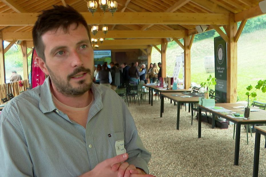 Les viticulteurs normands espèrent un excellent millésime pour leur production.