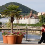 Des citoyens tentent de déplacer des palmiers à Besançon, la mairie porte plainte.