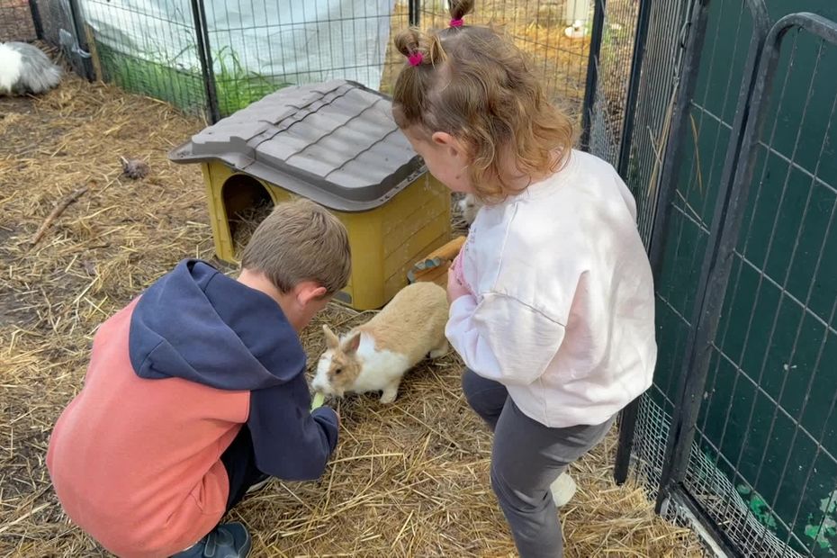Solidarité des habitants : la ferme le Petit monde de Lily sauvée après la tempête.
