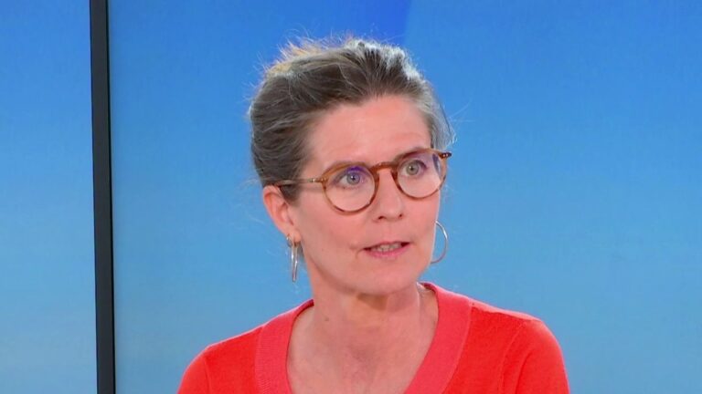 Affaire Lyhanna : Camille Kouchner souligne l’inefficacité des réponses face aux violences sexuelles.