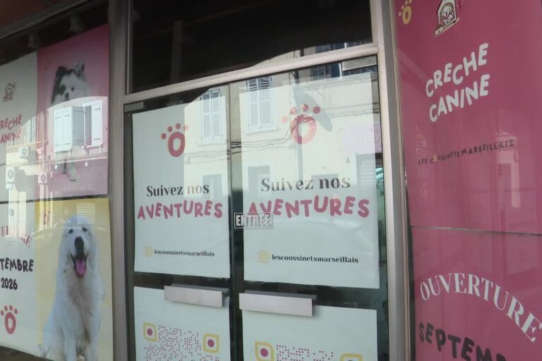 Une crèche pour chiens de 300 m² ouvre en centre-ville, rassemblant les professionnels du secteur.