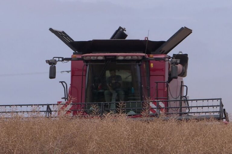 Agriculteurs inquiets face aux risques d’incendie durant les fortes chaleurs