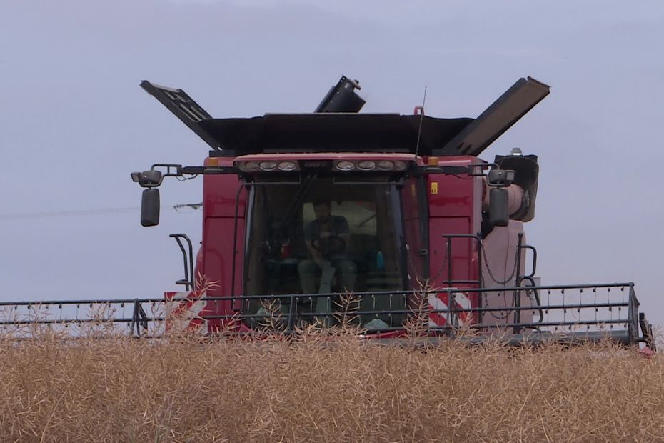 Agriculteurs inquiets face aux risques d’incendie durant les fortes chaleurs