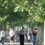 Lyon : les habitants utilisent des ventilateurs et serviettes humides face à la chaleur extrême.
