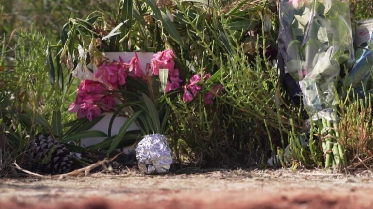 Un adolescent de 15 ans avoue avoir tué une octogénaire au Grau-du-Roi, selon la police.