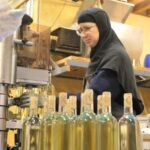 Vignoble bio dans le Gard : religieuses appellent à l&rsquo;aide après panne de tracteur et vente de bouteilles