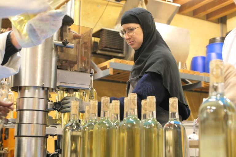 Vignoble bio dans le Gard : religieuses appellent à l’aide après panne de tracteur et vente de bouteilles
