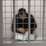 Un homme condamné à 18 mois de prison pour vol d&rsquo;une tablette géolocalisée.