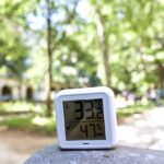 Lyon propose des musées climatisés et gratuits pour échapper à la canicule.