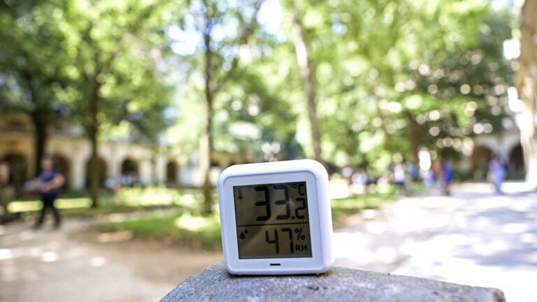 Lyon propose des musées climatisés et gratuits pour échapper à la canicule.