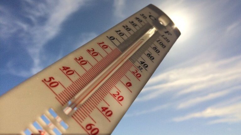 Canicule record en France : pénurie de pommes de terre et augmentation des publicités pendant le Mondial