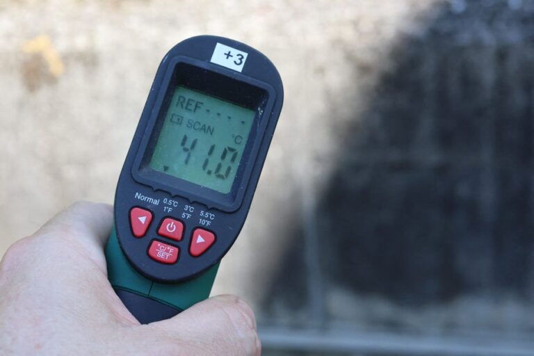 Canicule record en France : Nantes, Angers et Le Mans enregistrent des températures historiques.