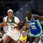 Dominique Malonga marque 37 points et 12 rebonds, un record pour une Française en WNBA.