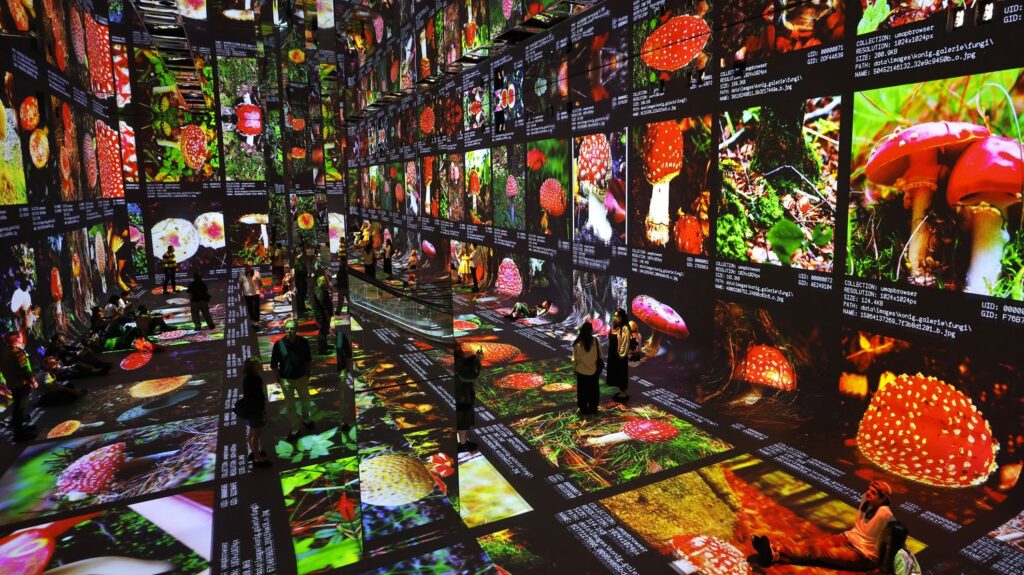 Dataland inaugure un musée à Los Angeles consacré à l’art généré par l’IA.
