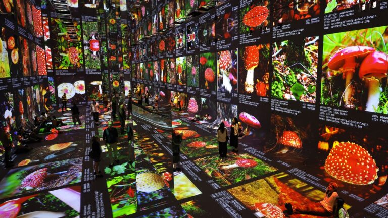 Dataland inaugure un musée à Los Angeles consacré à l’art généré par l’IA.