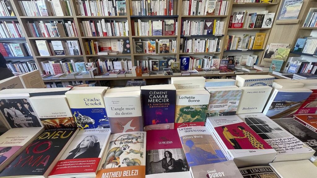 Rentrée littéraire : 461 romans publiés, dont 117 d’auteurs étrangers, légère baisse par rapport à 2025.