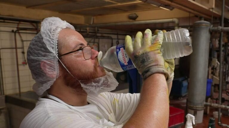 Canicule : ralentissement des activités économiques en France, alertent les entreprises.