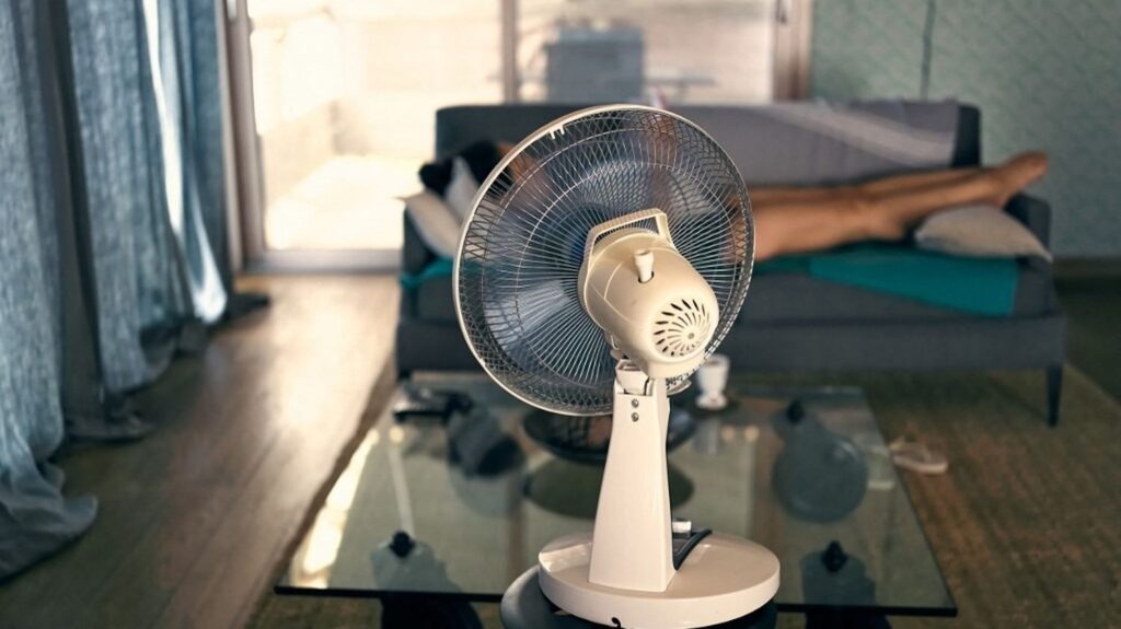 Canicule actuelle : modification des courants atmosphériques et masses d’air du Sud en cause ?