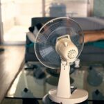 Canicule actuelle : modification des courants atmosphériques et masses d&rsquo;air du Sud en cause ?