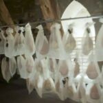 Saint-Flour : des jambons affinés exposés sur la cathédrale pour valoriser le patrimoine local