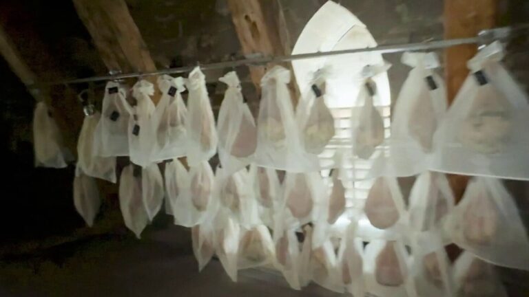 Saint-Flour : des jambons affinés exposés sur la cathédrale pour valoriser le patrimoine local