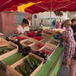 Canicule en Drôme : les habitants luttent pour maintenir la fraîcheur dans leurs maisons.